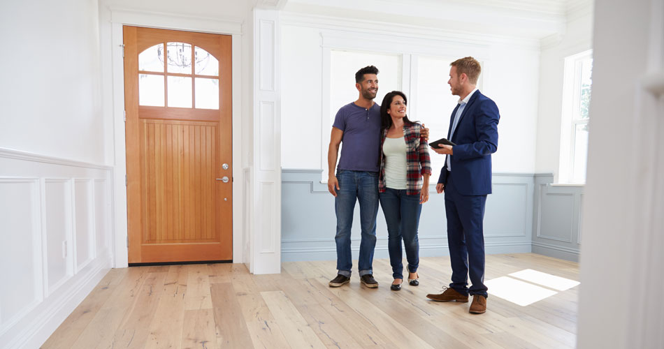 Pre Offer Home Inspection